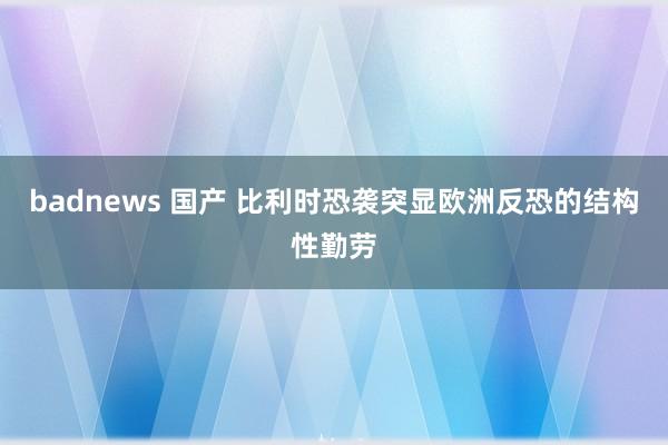 badnews 国产 比利时恐袭突显欧洲反恐的结构性勤劳