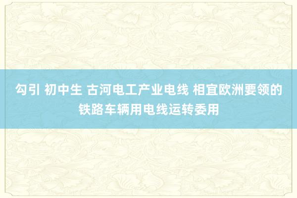 勾引 初中生 古河电工产业电线 相宜欧洲要领的铁路车辆用电线运转委用