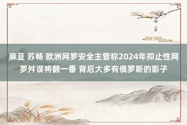 麻豆 苏畅 欧洲网罗安全主管称2024年抑止性网罗舛误将翻一番 背后大多有俄罗斯的影子